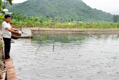 Nuôi cá trắm đen ở Yên Đức